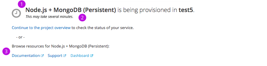 results from a provisioned service with no binding