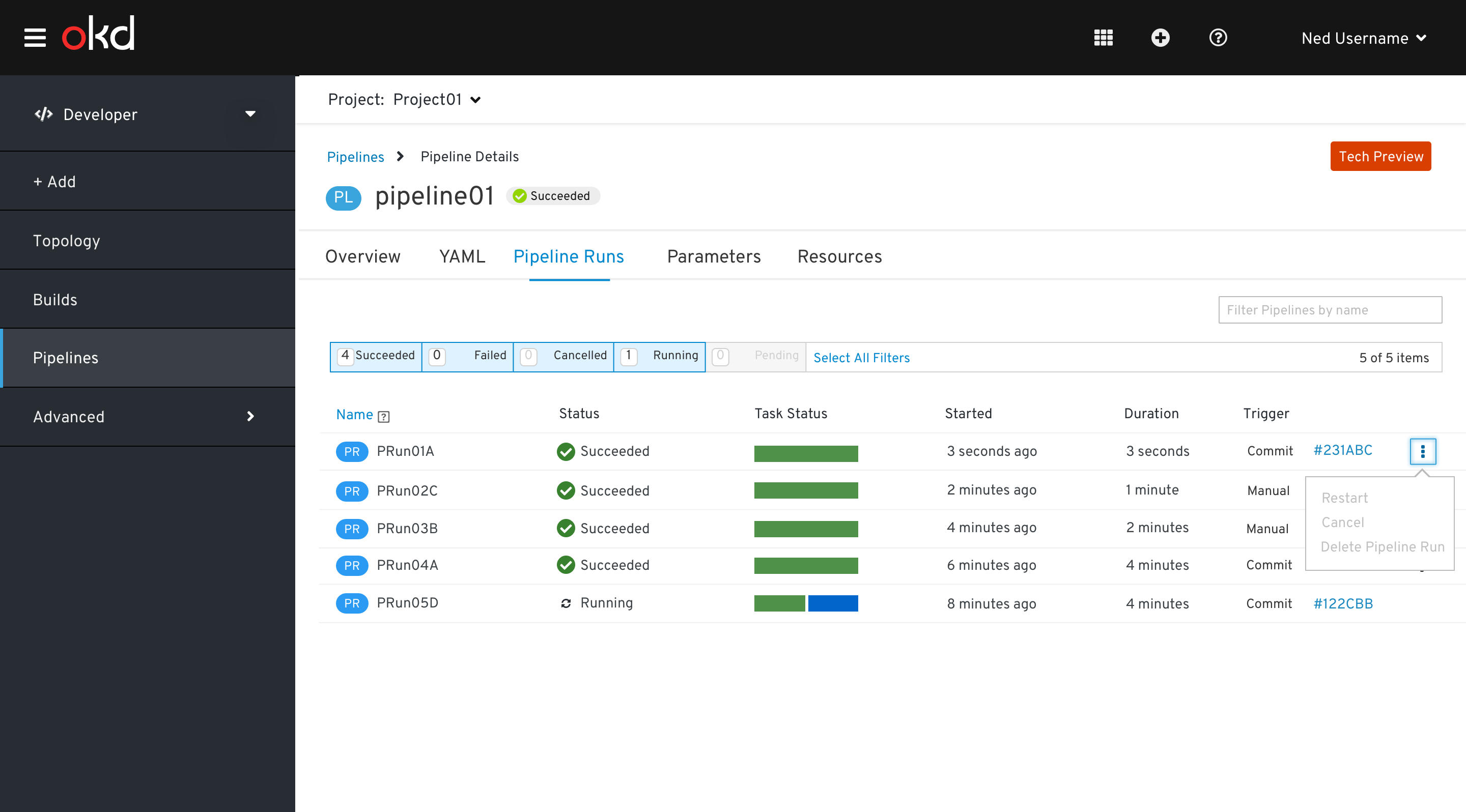 Pipelines Pipeline Runs tab