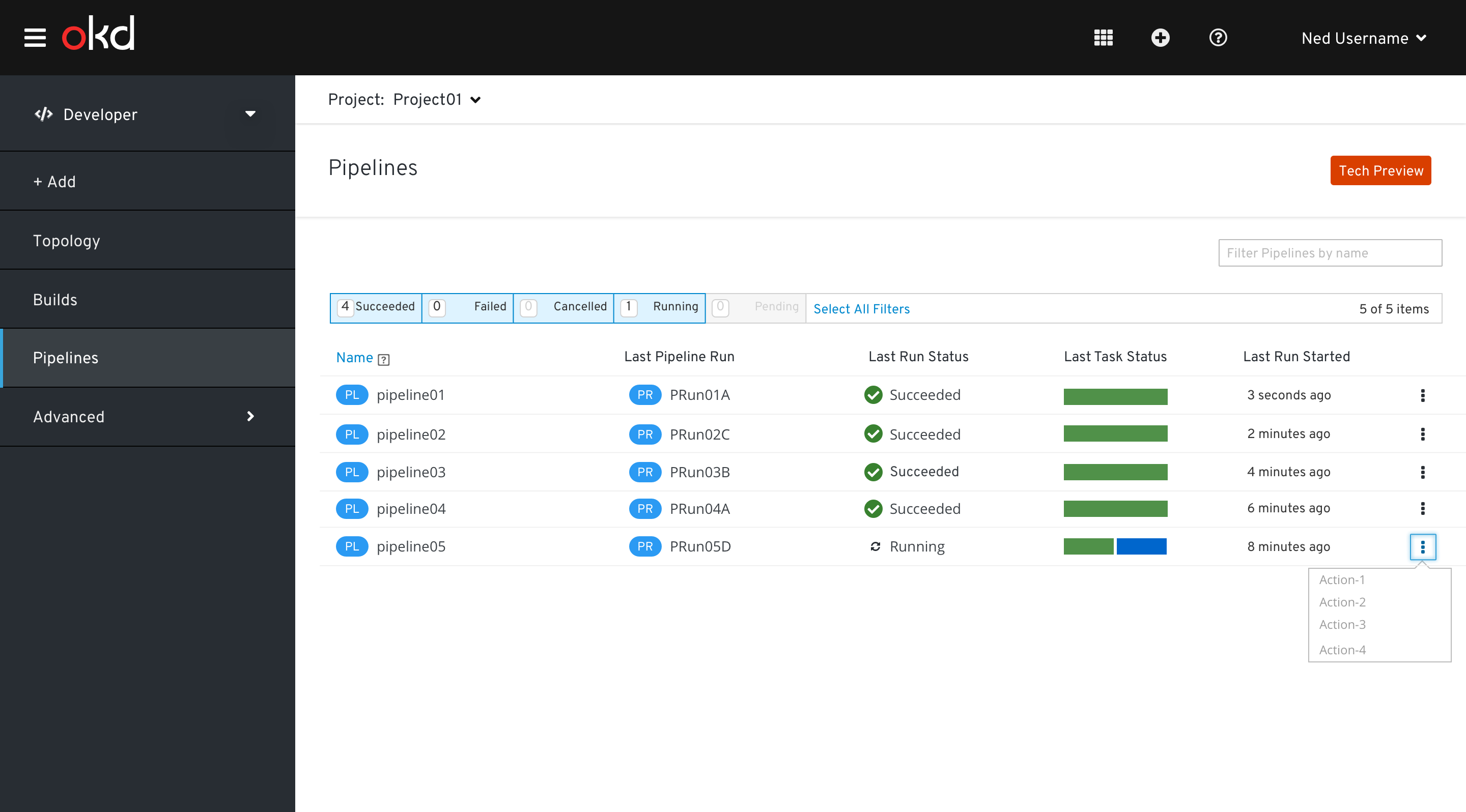 Pipelines List View