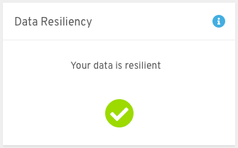 Data Resiliency